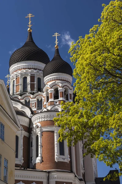 Καθεδρικός Ναός Αλεξάντερ Νέφσκι Ταλίν Εσθονία — Φωτογραφία Αρχείου
