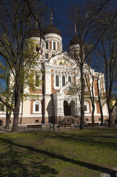 Catedral Alexander Nevski Tallin Estonia — Foto de Stock