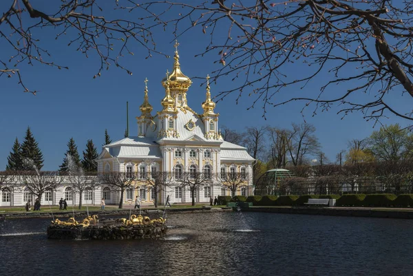 Μπροστά Από Παλάτι Του Καλοκαιριού Στο Pertersburg Ρωσία — Φωτογραφία Αρχείου
