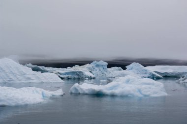 Blue Ice Bergs Narsarsuaq Grönland