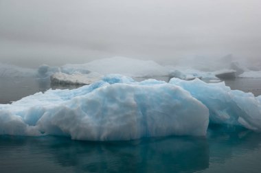 Blue Ice Bergs Narsarsuaq Grönland