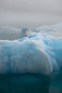 Blue Ice Bergs Narsarsuaq Grönland