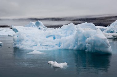 Blue Ice Bergs Narsarsuaq Grönland