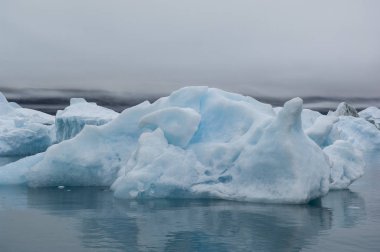 Narsusuaq fiyort Grönland mavi icebergs