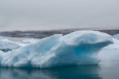 Narsusuaq fiyort Grönland mavi icebergs