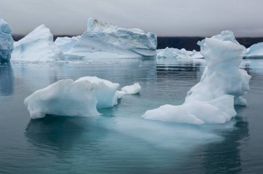 Narsusuaq fiyort Grönland mavi icebergs