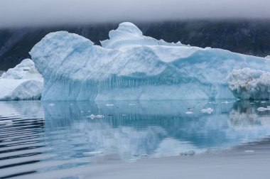 Narsusuaq fiyort Grönland mavi icebergs