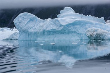 Narsusuaq fiyort Grönland mavi icebergs