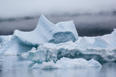 Narsusuaq fiyort Grönland mavi icebergs