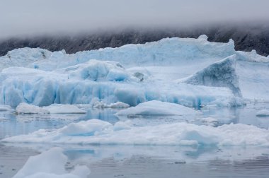 Narsusuaq fiyort Grönland mavi icebergs