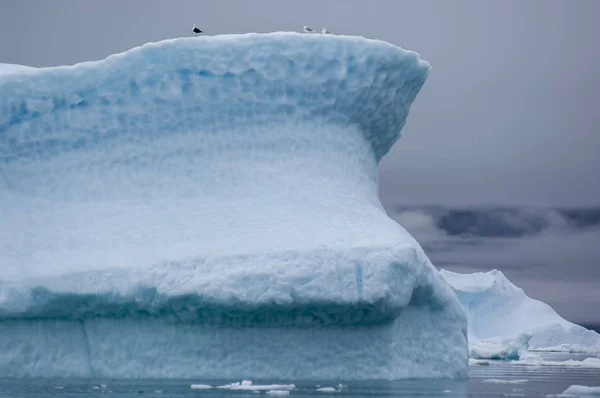 Gli Iceberg Blu Del Fiordo Narsuaq Groenlandia — Foto Stock