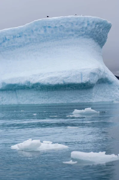 格陵兰 Narsusuaq 峡湾的蓝色冰山 — 图库照片