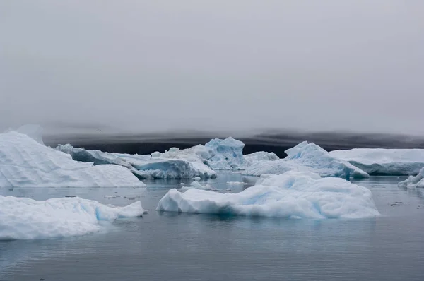 Narsarsuaq 格陵兰的蓝冰冰山 — 图库照片