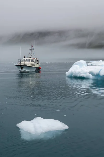 Narsusuaq fiyort Grönland mavi icebergs