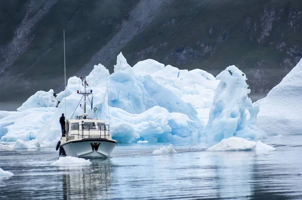 Голубые Айсберги Фьорда Нарсуак Гренландии — стоковое фото