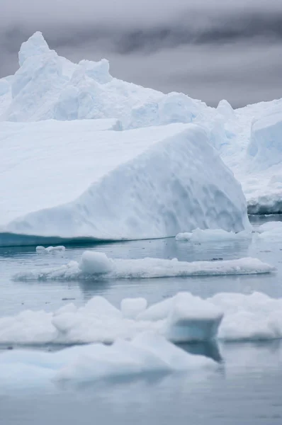 Blue Icebergs Narsusuaq Fjord Greenland — Stock Photo, Image