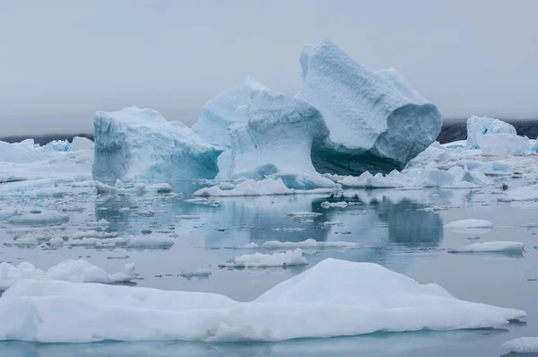 Narsusuaq fiyort Grönland mavi icebergs