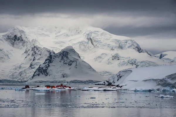 Paradise Harbour Antarctica Популярное Место Посещения Круизных Кораблей — стоковое фото