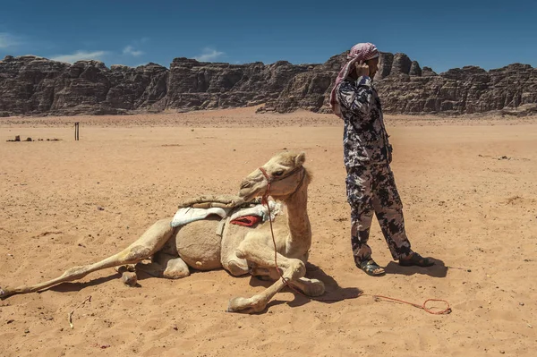 Beduin Верблюдах Wadi Rum — стокове фото