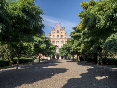 Chernivtsi Ulusal Üniversitesi Açık görünümü ile sonbahar ağaç bir cadde