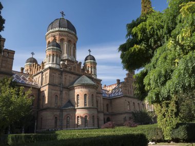 Kule Chernivtsi Ulusal Üniversitesi Chernivtsi Ukrayna sonbahar ağaçları ile kubbeli