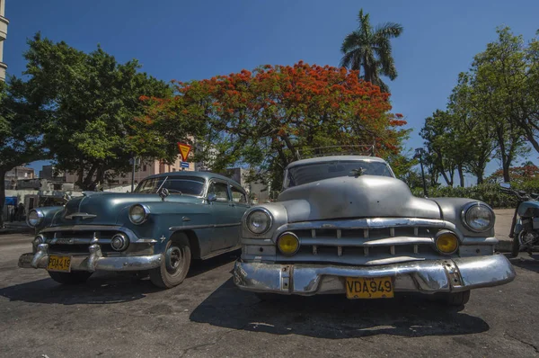 Havana Kuba Juli 2006 — Stockfoto