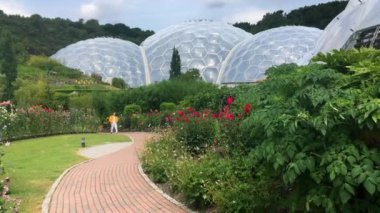 Statik Cornwall İngiltere'de Eden Projesi'nde rainforest canlılarını klip 