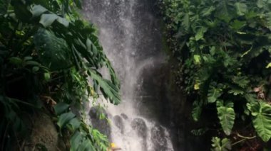 Yapay şelale ultra yavaş aşağı eğ. Cornwall Eden projede rainforest biome alınan