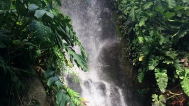 Yapay şelale ultra yavaş aşağı eğ. Cornwall Eden projede rainforest biome alınan