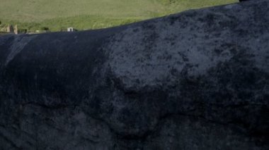 Kamera kızak ve limanın bağlantı noktası Isaac Cornwall, 2018 yılında bir yaz sabahı ortaya çıkarmak için duvar arkasından yükselir