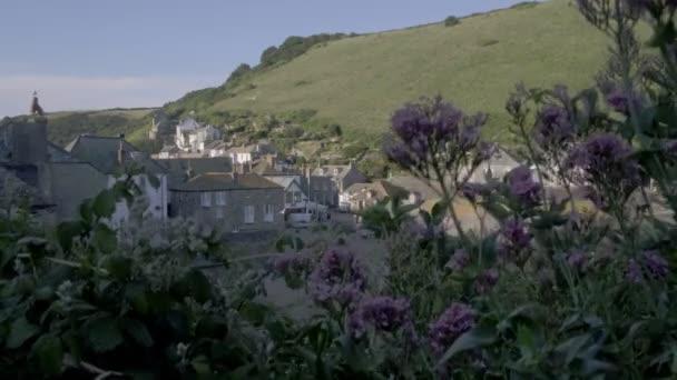 Camera Rises Flowers Reveal Slipway Harbour Port Isaac Cornwall Taken — Stock Video