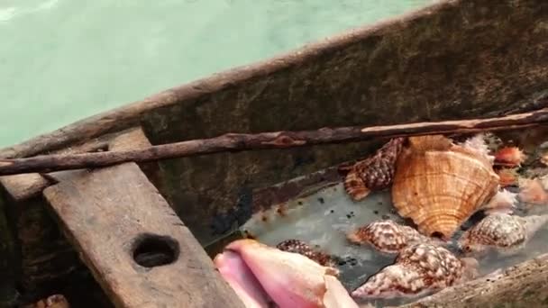 貝殻の内側でサンブラス諸島でエル サンティアゴの伝統的な先住民族グナ カヌー クローズ ショット — ストック動画