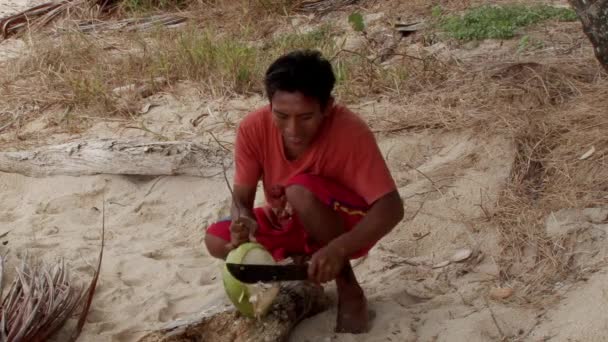 Hombre Guna Nativo Corta Cocoteros Porvenir Las Islas San Blas — Vídeos de Stock