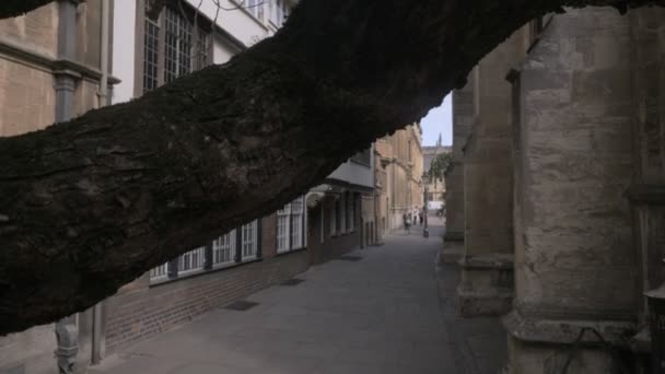 Câmera Desce Árvore Passada Para Revelar Marys Passagem Oxford Como — Vídeo de Stock