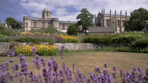低层幻灯片剪辑与基督教学院和花园背后 在一个阳光明媚的夏日早晨从牛津宽阔散步 — 图库视频影像