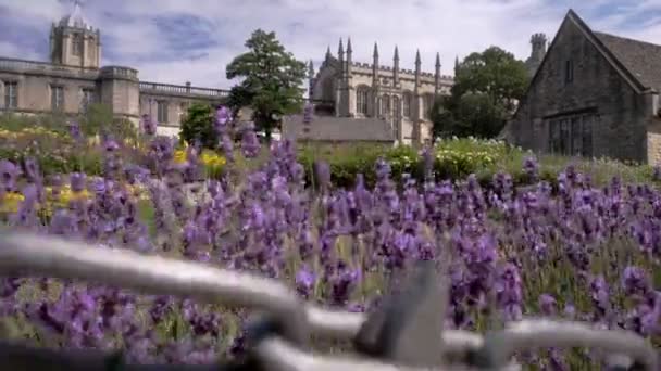 柵と花を乗り越えて キリスト教会カレッジと庭園を明らかにします 日当たりの良い夏の朝にブロードウォークオックスフォードから撮影 — ストック動画