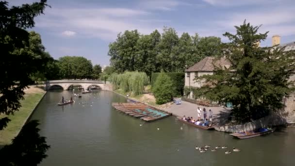 Punts Rzece Cam Cambridge Obok Trinity College — Wideo stockowe