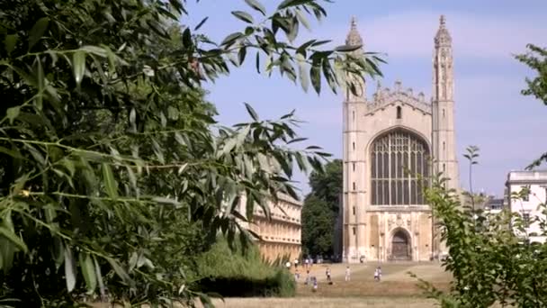 Kapellet Kings College Cambridge Sett Genom Träd Ryggen Sommar Eftermiddag — Stockvideo