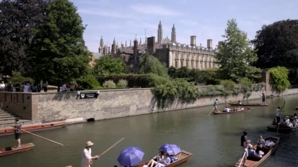 Cambridge River Cam College Trinity University Bridge England Punting Summer — Vídeos de Stock