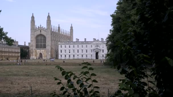 Kapellet Kings College Cambridge Sett Genom Träd Ryggen Sommar Eftermiddag — Stockvideo