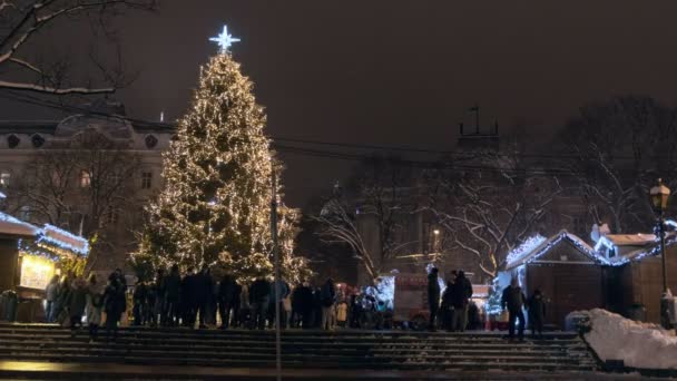 Éjszaka Lövés Gyönyörű Lviv Karácsonyfa Piaci Hozott Egy Havas Tél — Stock videók