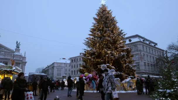 Amplo Clipe Estático Árvore Natal Lviv Uma Noite Nevada Dezembro — Vídeo de Stock
