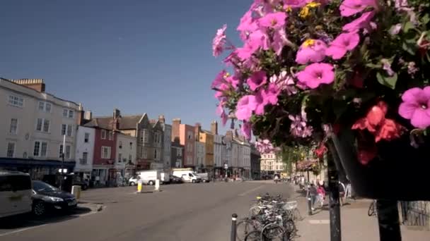 Camera Daalt Van Achter Bloemen Brede Stree Onthullen — Stockvideo