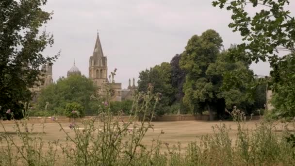 Pan Christ Church Cathedral Merton College Oxford — Wideo stockowe