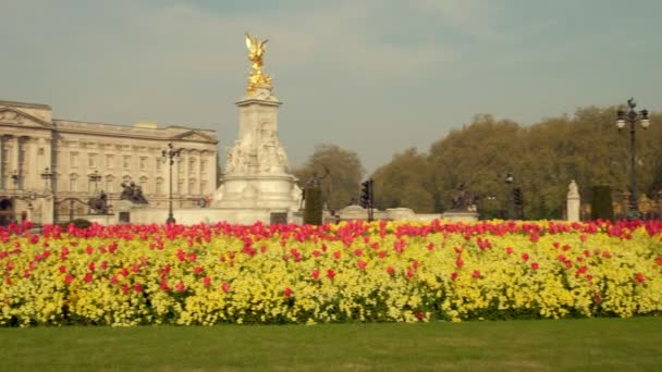 ロンドンのバッキンガム宮殿の前で春の花をパン 少数の人々と早朝に撮影 — ストック動画