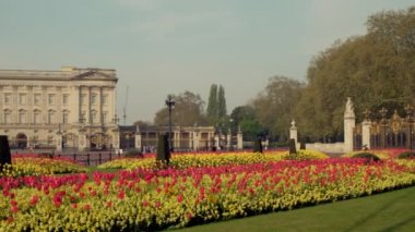 Buckingham Sarayı Londra önünde bahar çiçek yatakları karşısında Pan. Birkaç kişi ile sabahın erken saatlerinde alınan