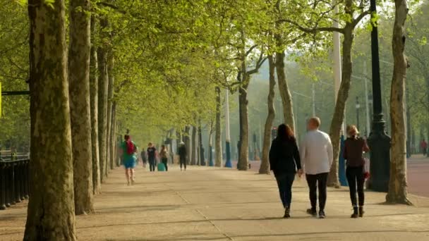 観光客のロングショットは ロンドンのモールの舗装に沿って散歩します 木々が咲き乱れ 春に撮影 — ストック動画