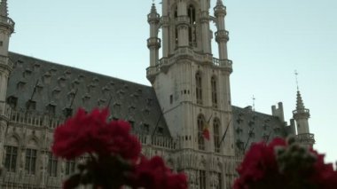 Grand Place'deki çiçeklerin arkasından Brüksel Belediye Binası'nın ön cephesini eğin. Bir bahar sabahı şafakta çekilen