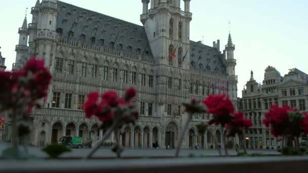 Statisk Bild Fasaden Bryssels Stadshus Och Blommor Grand Place — Stockvideo