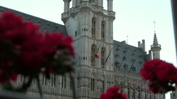 Статический Снимок Фасада Брюссельской Ратуши Площади Гран Плас Снято Рассвете — стоковое видео